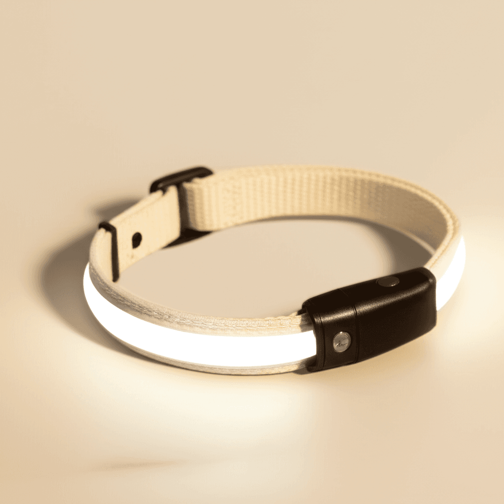 GlowGuard LED Safety Collar thumbnail 3